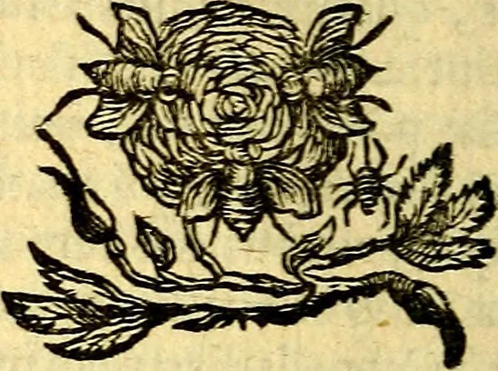 An illustration from Andreae Maximiliani Fredro Castellani Leopoliensis Scriptorum seu togae & belli notationum fragmenta : accesserunt Peristromata regum symbolis expressa, 1660, leaf 121