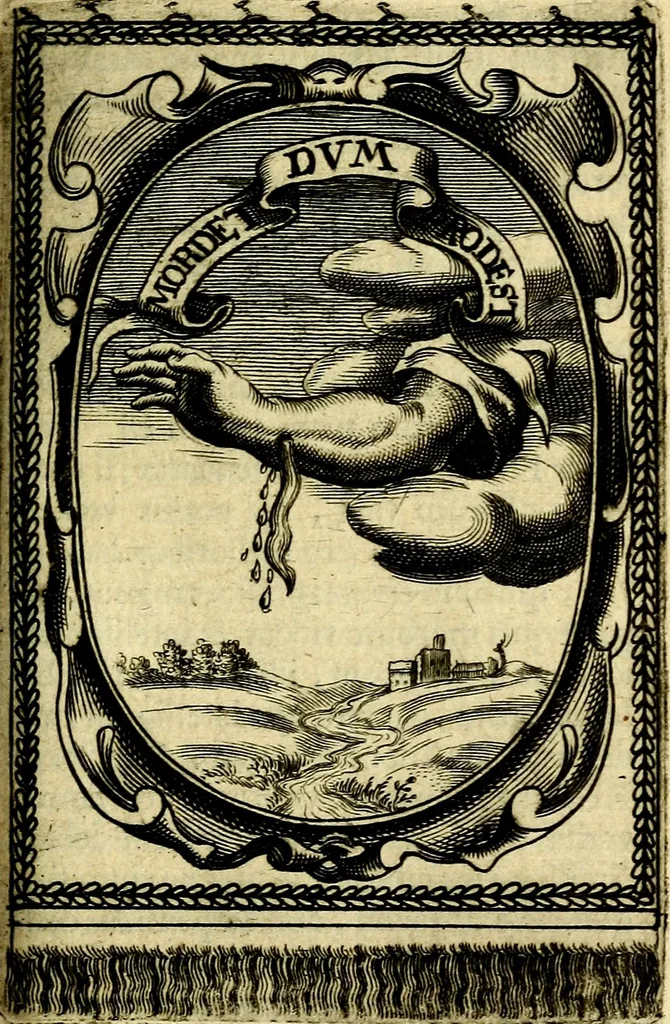 An illustration from Andreae Maximiliani Fredro Castellani Leopoliensis Scriptorum seu togae & belli notationum fragmenta : accesserunt Peristromata regum symbolis expressa, 1660, leaf 326