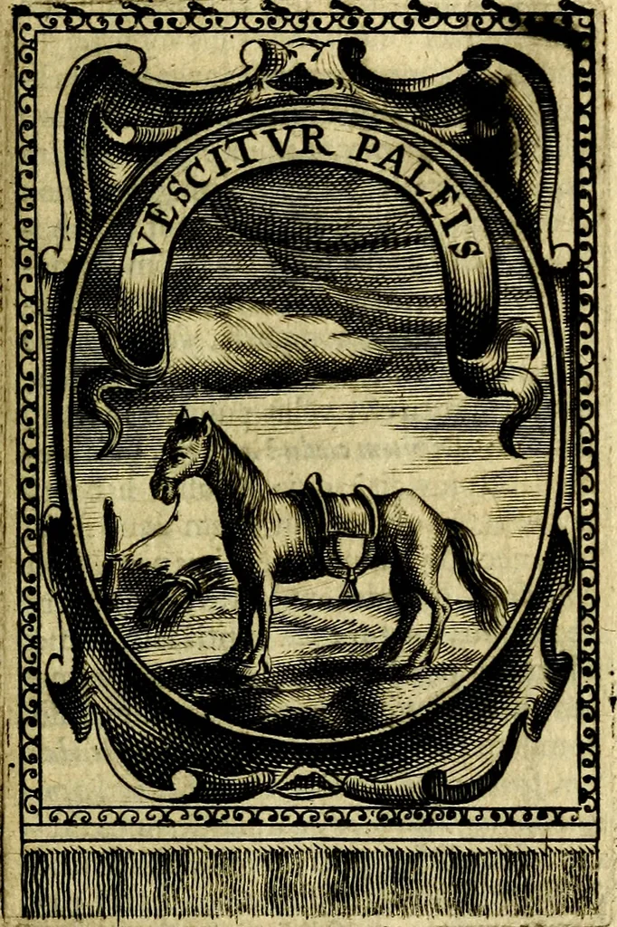 An illustration from Andreae Maximiliani Fredro Castellani Leopoliensis Scriptorum seu togae & belli notationum fragmenta : accesserunt Peristromata regum symbolis expressa, 1660, leaf 372