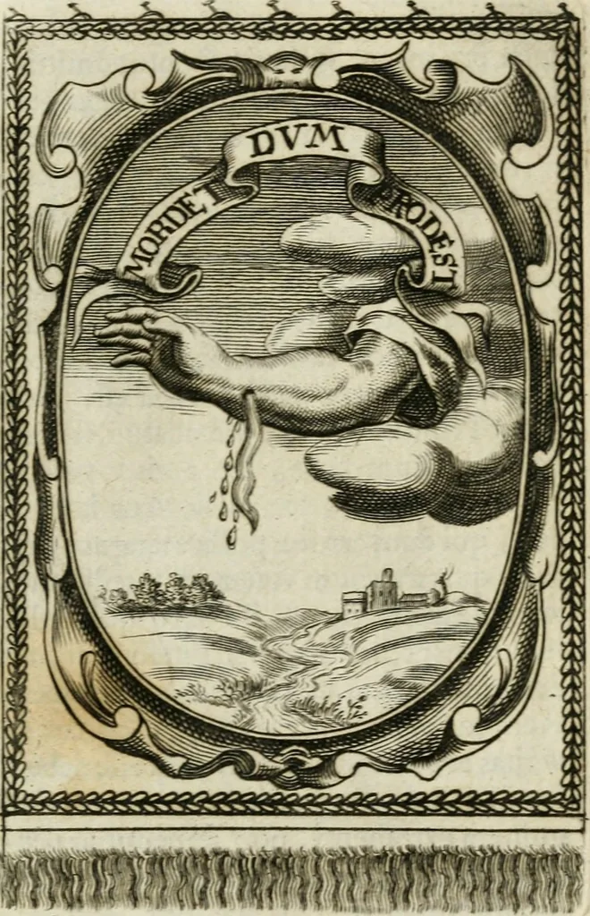 An illustration from Andreae Maximiliani Fredro castellani Leopoliensis, Scriptorum seu togae & belli notationum fragmenta : accesserunt Peristromata regum symbolis expressa, 1660, leaf 324