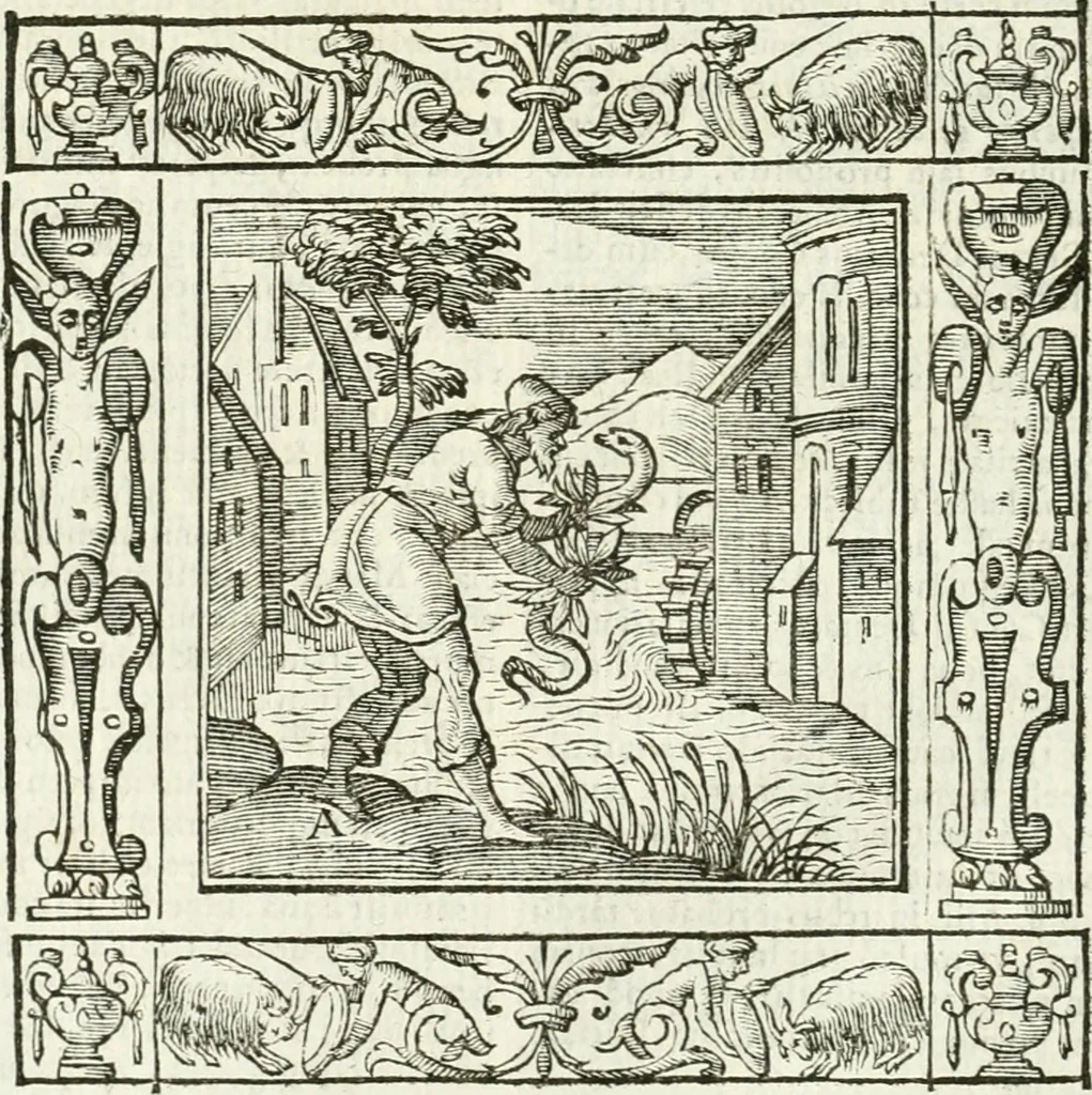 An illustration from Andreæ Alciati emblemata cvm commentariis Clavdii Minois...: & notis Lavrentii Pignorii Patavini : nouissima hac editione in continuam vnius commentarij seriem congestis, in certas quasdam quasi classes dispositis, & plusquam dimidia parte auctis, 1621, leaf 203
