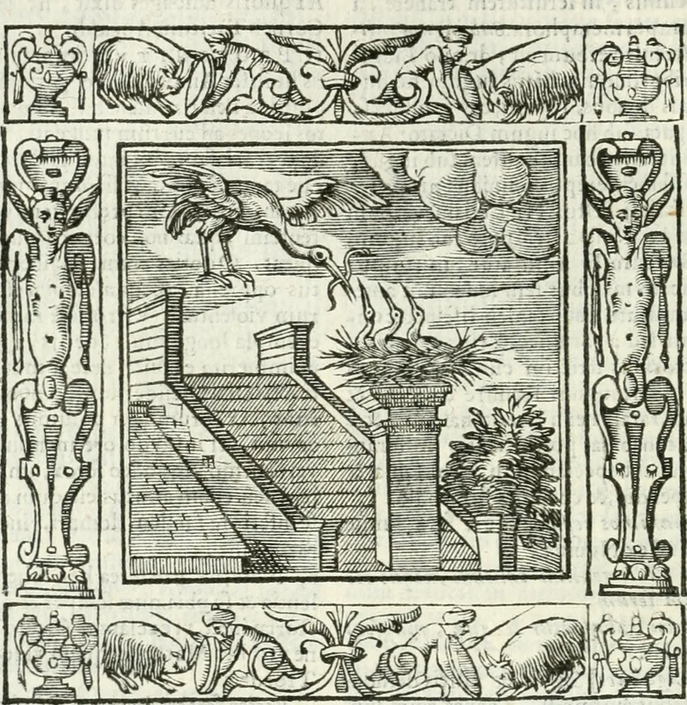 An illustration from Andreæ Alciati emblemata cvm commentariis Clavdii Minois...: & notis Lavrentii Pignorii Patavini : nouissima hac editione in continuam vnius commentarij seriem congestis, in certas quasdam quasi classes dispositis, & plusquam dimidia parte auctis, 1621, leaf 255