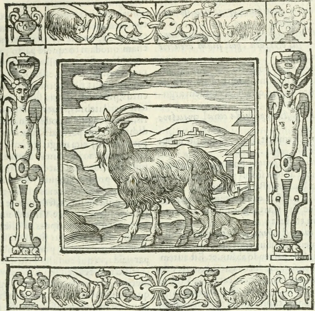 An illustration from Andreæ Alciati emblemata cvm commentariis Clavdii Minois...: & notis Lavrentii Pignorii Patavini : nouissima hac editione in continuam vnius commentarij seriem congestis, in certas quasdam quasi classes dispositis, & plusquam dimidia parte auctis, 1621, leaf 372