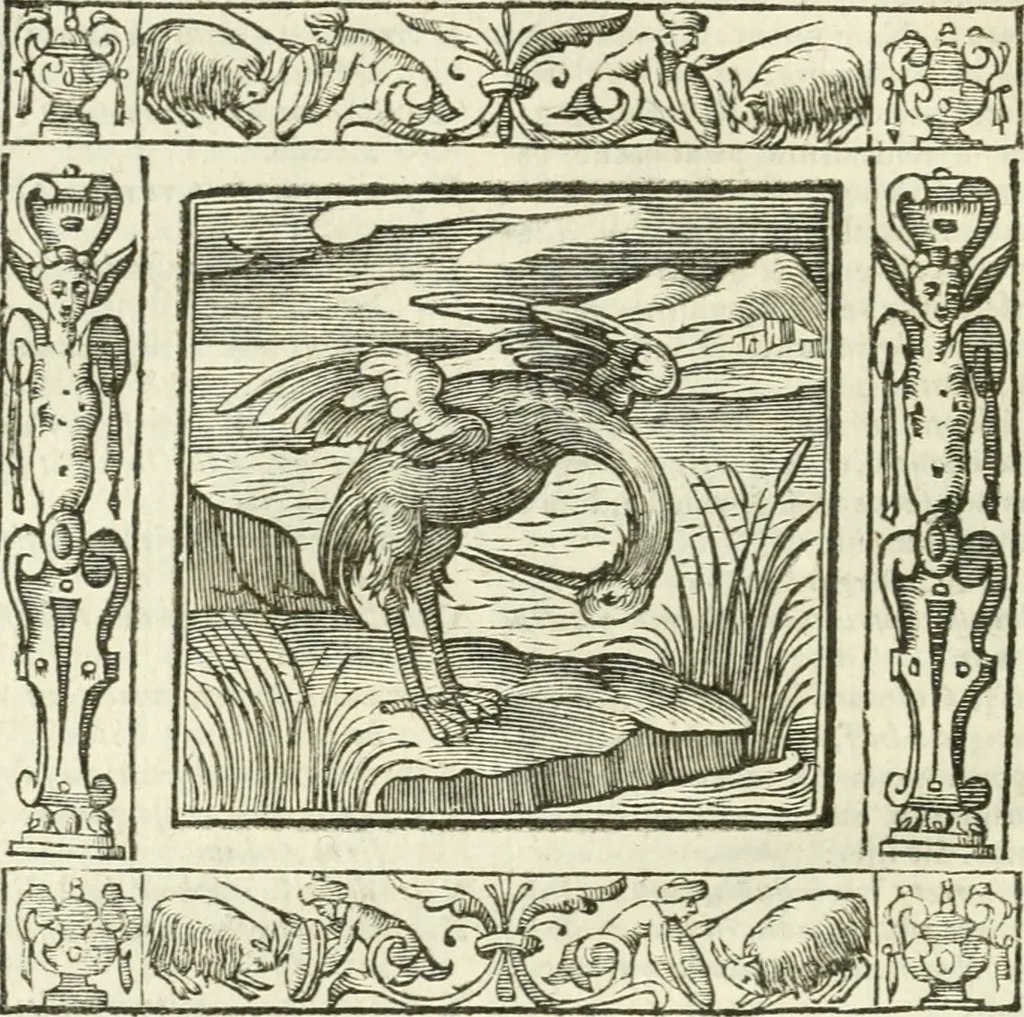 An illustration from Andreæ Alciati emblemata cvm commentariis Clavdii Minois...: & notis Lavrentii Pignorii Patavini : nouissima hac editione in continuam vnius commentarij seriem congestis, in certas quasdam quasi classes dispositis, & plusquam dimidia parte auctis, 1621, leaf 463