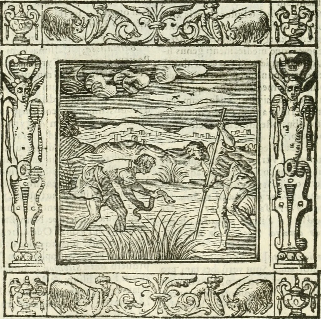 An illustration from Andreæ Alciati emblemata cvm commentariis Clavdii Minois...: & notis Lavrentii Pignorii Patavini : nouissima hac editione in continuam vnius commentarij seriem congestis, in certas quasdam quasi classes dispositis, & plusquam dimidia parte auctis, 1621, leaf 465