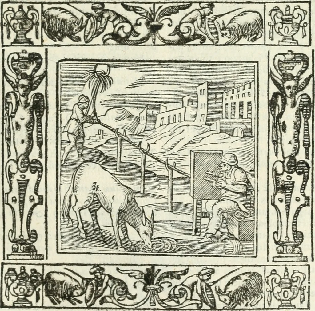 An illustration from Andreæ Alciati emblemata cvm commentariis Clavdii Minois...: & notis Lavrentii Pignorii Patavini : nouissima hac editione in continuam vnius commentarij seriem congestis, in certas quasdam quasi classes dispositis, & plusquam dimidia parte auctis, 1621, leaf 476