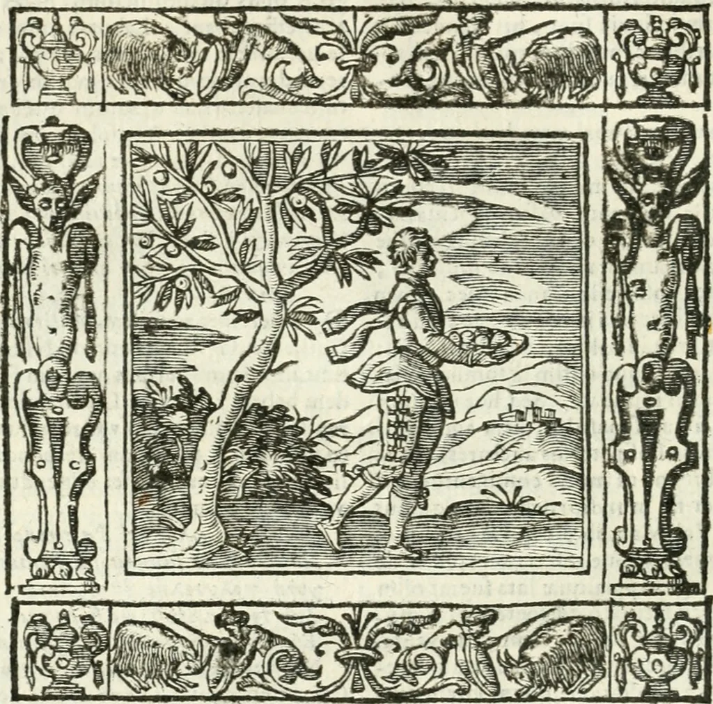 An illustration from Andreæ Alciati emblemata cvm commentariis Clavdii Minois...: & notis Lavrentii Pignorii Patavini : nouissima hac editione in continuam vnius commentarij seriem congestis, in certas quasdam quasi classes dispositis, & plusquam dimidia parte auctis, 1621, leaf 479