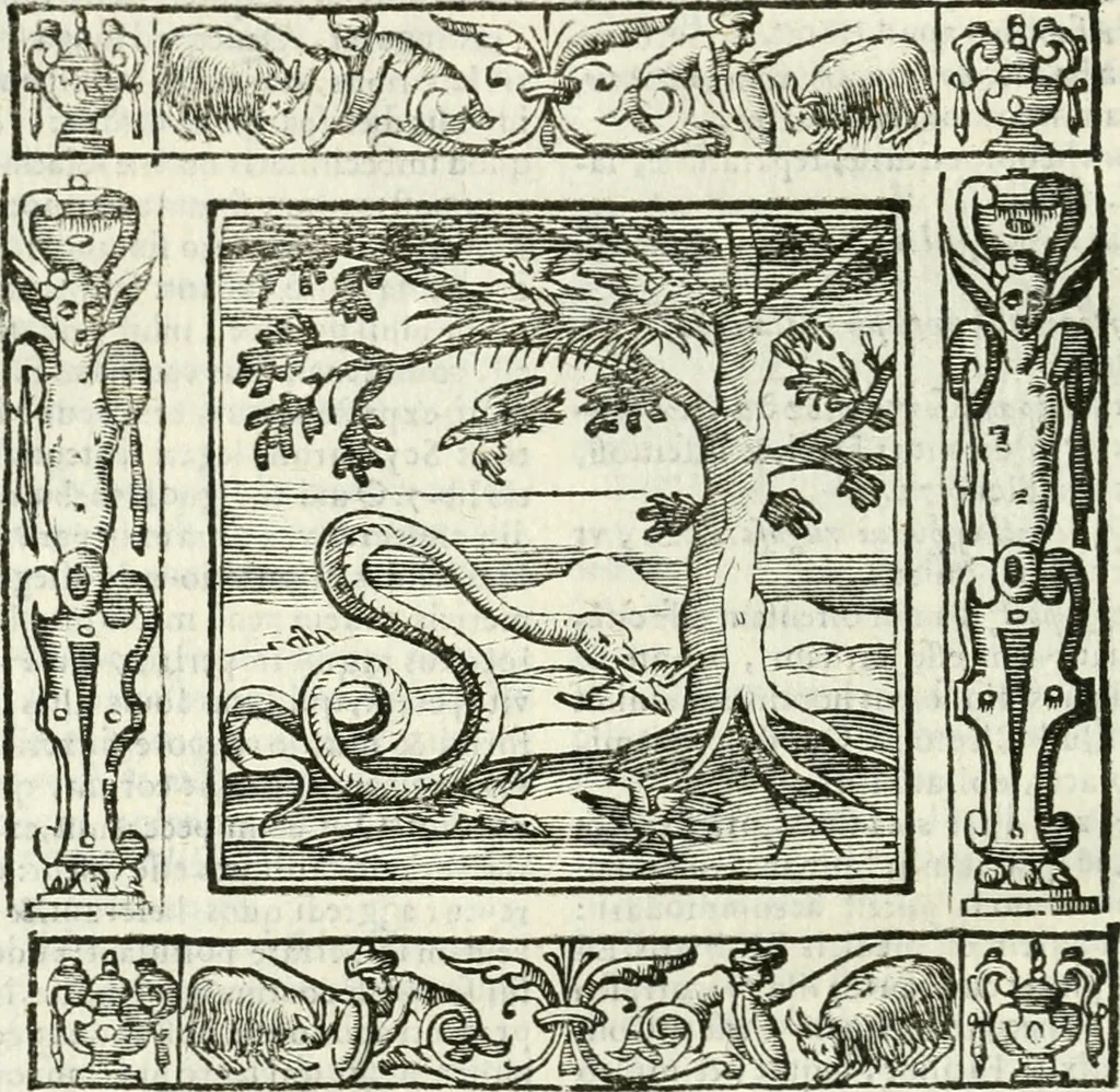 An illustration from Andreæ Alciati emblemata cvm commentariis Clavdii Minois...: & notis Lavrentii Pignorii Patavini : nouissima hac editione in continuam vnius commentarij seriem congestis, in certas quasdam quasi classes dispositis, & plusquam dimidia parte auctis, 1621, leaf 647
