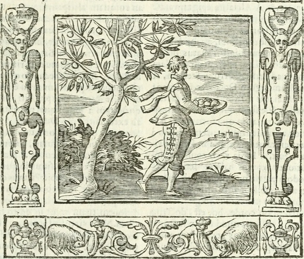 An illustration from Andreæ Alciati emblemata cvm commentariis Clavdii Minois...: & notis Lavrentii Pignorii Patavini : nouissima hac editione in continuam vnius commentarij seriem congestis, in certas quasdam quasi classes dispositis, & plusquam dimidia parte auctis, 1621, leaf 694