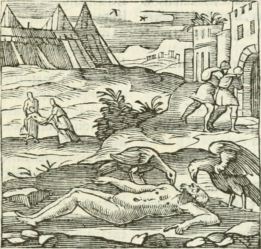 An illustration from Andreæ Alciati emblemata cvm commentariis Clavdii Minois...: & notis Lavrentii Pignorii Patavini : nouissima hac editione in continuam vnius commentarij seriem congestis, in certas quasdam quasi classes dispositis, & plusquam dimidia parte auctis, 1621, leaf 756
