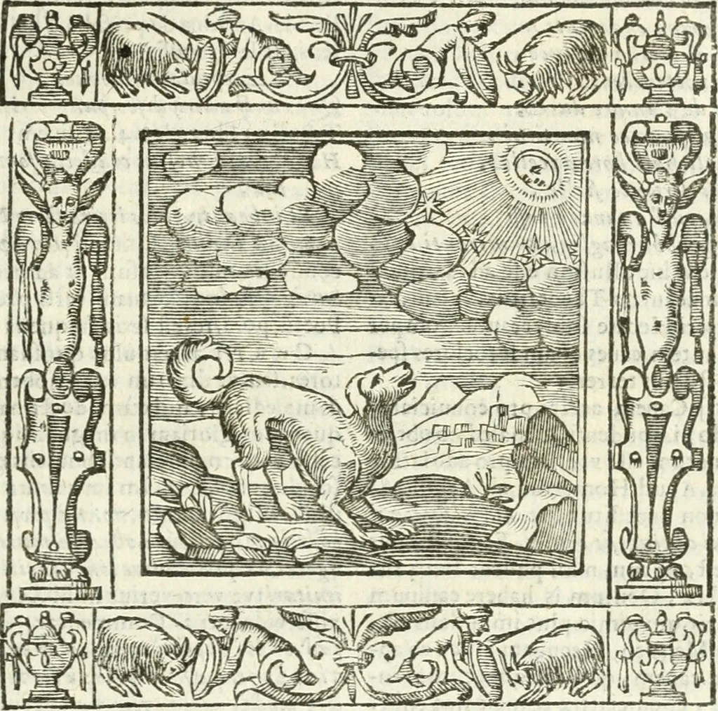 An illustration from Andreæ Alciati emblemata cvm commentariis Clavdii Minois...: & notis Lavrentii Pignorii Patavini : nouissima hac editione in continuam vnius commentarij seriem congestis, in certas quasdam quasi classes dispositis, & plusquam dimidia parte auctis, 1621, leaf 778