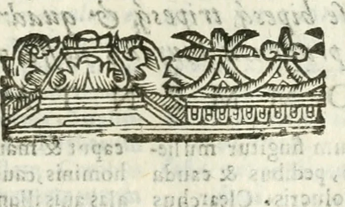 An illustration from Andreæ Alciati emblemata cvm commentariis Clavdii Minois...: & notis Lavrentii Pignorii Patavini : nouissima hac editione in continuam vnius commentarij seriem congestis, in certas quasdam quasi classes dispositis, & plusquam dimidia parte auctis, 1621, leaf 878