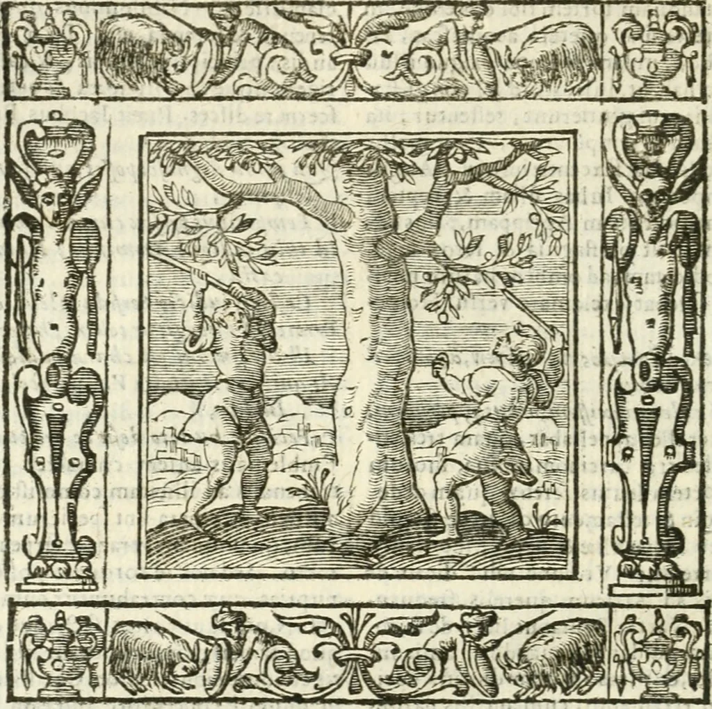 An illustration from Andreæ Alciati emblemata cvm commentariis Clavdii Minois...: & notis Lavrentii Pignorii Patavini : nouissima hac editione in continuam vnius commentarij seriem congestis, in certas quasdam quasi classes dispositis, & plusquam dimidia parte auctis, 1621, leaf 905
