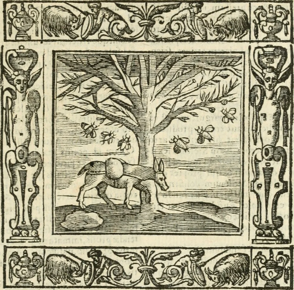 An illustration from Andreæ Alciati emblemata cvm commentariis Clavdii Minois...: & notis Lavrentii Pignorii Patavini : nouissima hac editione in continuam vnius commentarij seriem congestis, in certas quasdam quasi classes dispositis, & plusquam dimidia parte auctis, 1621, leaf 942