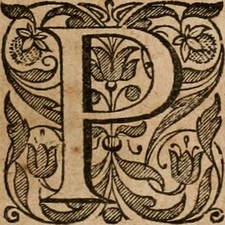 An illustration from Andreæ Riveti, pictavi, S.S. theol. doct. & profess. Theologicæ & scholasticæ exercitationes CXC in Genesin : ex publicis ejus prælectionibus in Celeberrima Batavorum Academia, in quibus, præter explicationem difficilium locorum, controversiæ multæ adversus varios errores agitantur: & quæstiones non paucæ ad praxim pertinentes, ventilantur. : præfixum est unicuique exercitationi, brevianum, & subjunctus index materiarum, 1633, leaf 12