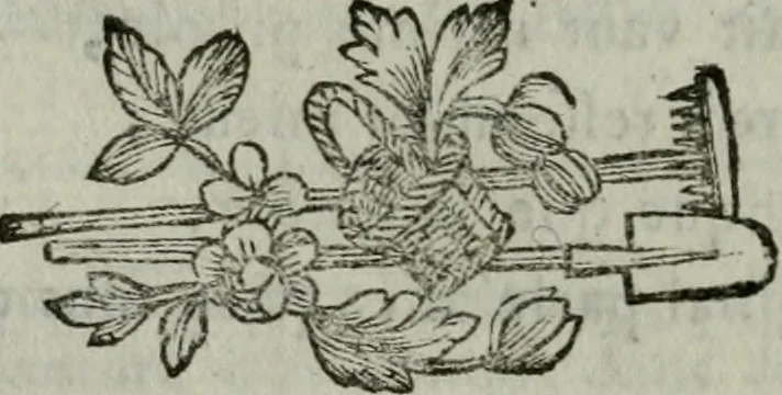 An illustration from Anecdotes des beaux-arts : contenant tout ce que la peinture, la sculpture, la gravure, l'architecture, la littérature, la musique, &c. ... : avec des notes historiques & critiques, & des tables raisonnées ... / par M. ***, 1776, leaf 205