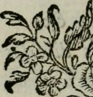 An illustration from Anecdotes des beaux-arts : contenant tout ce que la peinture, la sculpture, la gravure, l'architecture, la littérature, la musique, &c. ... : avec des notes historiques & critiques, & des tables raisonnées ... / par M. ***, 1776, leaf 13