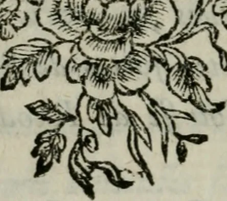 An illustration from Anecdotes des beaux-arts : contenant tout ce que la peinture, la sculpture, la gravure, l'architecture, la littérature, la musique, &c. ... : avec des notes historiques & critiques, & des tables raisonnées ... / par M. ***, 1776, leaf 13