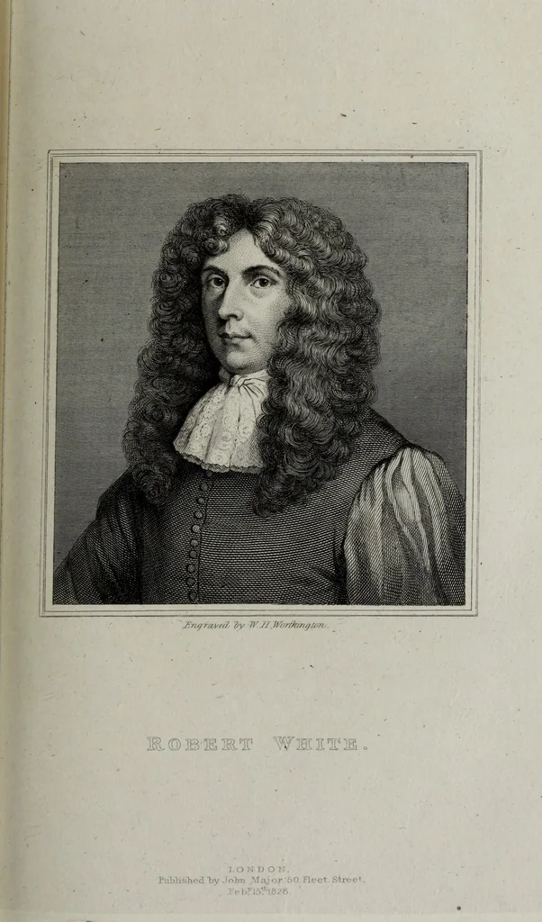 An illustration from Anecdotes of painting in England : with some account of the principal artists, and incidental notes on other arts, 1826, leaf 248