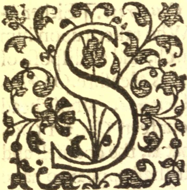 An illustration from An explication of the hundreth and tenth Psalme : wherein the severall heads of Christian religion therein contained, touching the exaltation of Christ, the scepter of his kingdom, the character of his subjects, his priesthood, victories, sufferings, and resurrection, are laregly explained and applyed : being the substance of severall sermons preached at Lincolns Inne, 1642, leaf 529