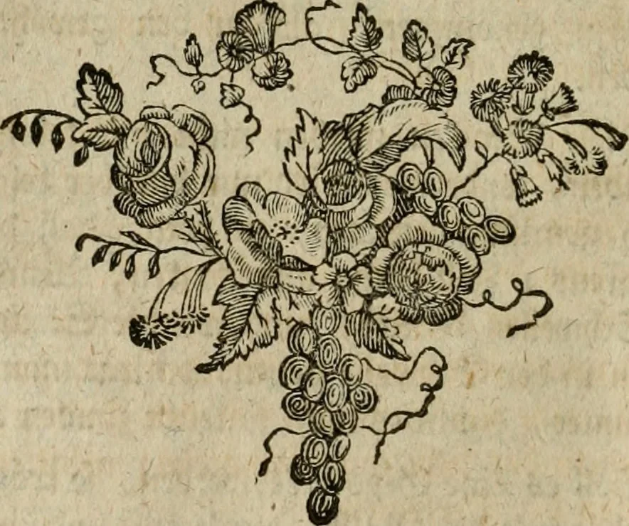 An illustration from Anfangsgründe der bürgerlichen Baukunst für Landleute, oder, Anleitung wie die Landbewohner neue verbesserte Gebaüde mit feuersichern Dächern, ingleichen neue Dörfer, Wasserleitungen und holzersparende Back- und Stubenoefen ohne Zuziehung eines Baumeisters entwerfen, zeichnen, Anschläge dazu machen n erbauen können : nebst einer kurzen Anzeige die Gewitter abzuleiten, 1776, leaf 275