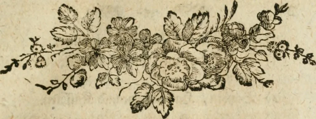 An illustration from Anfangsgründe der bürgerlichen Baukunst für Landleute, oder, Anleitung wie die Landbewohner neue verbesserte Gebaüde mit feuersichern Dächern, ingleichen neue Dörfer, Wasserleitungen und holzersparende Back- und Stubenoefen ohne Zuziehung eines Baumeisters entwerfen, zeichnen, Anschläge dazu machen n erbauen können : nebst einer kurzen Anzeige die Gewitter abzuleiten, 1776, leaf 34