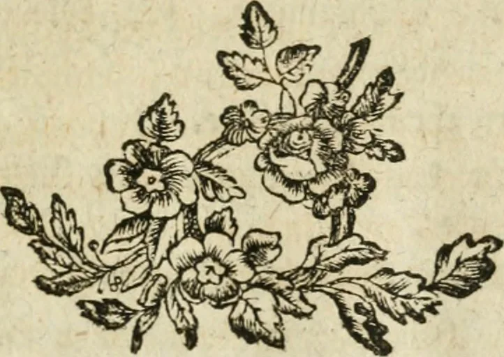 An illustration from Anfangsgründe der bürgerlichen Baukunst für Landleute, oder, Anleitung wie die Landbewohner neue verbesserte Gebaüde mit feuersichern Dächern, ingleichen neue Dörfer, Wasserleitungen und holzersparende Back- und Stubenoefen ohne Zuziehung eines Baumeisters entwerfen, zeichnen, Anschläge dazu machen n erbauen können : nebst einer kurzen Anzeige die Gewitter abzuleiten, 1776, leaf 38