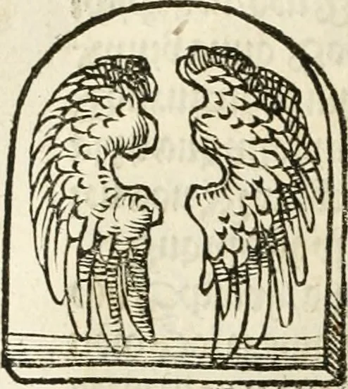 An illustration from Anfang, Vrsprug und Herkomen des Thurniers inn Teutscher Nation : wieuil Thurnier biss vff den letztenn zu Wormbs : auch wie vnnd an welchen Orten die gehalten vñ durch was Fürsten, Grauen, Herrn, Ritter vñ vom Adel, sie iederzeit besucht worden sindt .., 1532, leaf 100