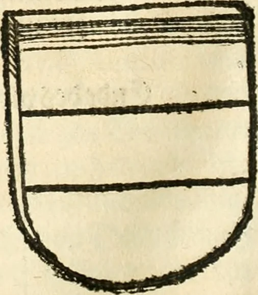 An illustration from Anfang, Vrsprug und Herkomen des Thurniers inn Teutscher Nation : wieuil Thurnier biss vff den letztenn zu Wormbs : auch wie vnnd an welchen Orten die gehalten vñ durch was Fürsten, Grauen, Herrn, Ritter vñ vom Adel, sie iederzeit besucht worden sindt .., 1532, leaf 107