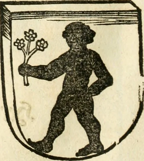 An illustration from Anfang, Vrsprug und Herkomen des Thurniers inn Teutscher Nation : wieuil Thurnier biss vff den letztenn zu Wormbs : auch wie vnnd an welchen Orten die gehalten vñ durch was Fürsten, Grauen, Herrn, Ritter vñ vom Adel, sie iederzeit besucht worden sindt .., 1532, leaf 115