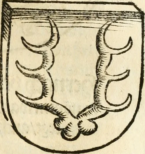 An illustration from Anfang, Vrsprug und Herkomen des Thurniers inn Teutscher Nation : wieuil Thurnier biss vff den letztenn zu Wormbs : auch wie vnnd an welchen Orten die gehalten vñ durch was Fürsten, Grauen, Herrn, Ritter vñ vom Adel, sie iederzeit besucht worden sindt .., 1532, leaf 194