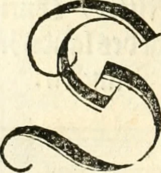 An illustration from Anfang, Vrsprug und Herkomen des Thurniers inn Teutscher Nation : wieuil Thurnier biss vff den letztenn zu Wormbs : auch wie vnnd an welchen Orten die gehalten vñ durch was Fürsten, Grauen, Herrn, Ritter vñ vom Adel, sie iederzeit besucht worden sindt .., 1532, leaf 213
