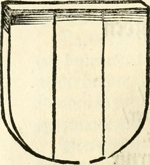 An illustration from Anfang, Vrsprug und Herkomen des Thurniers inn Teutscher Nation : wieuil Thurnier biss vff den letztenn zu Wormbs : auch wie vnnd an welchen Orten die gehalten vñ durch was Fürsten, Grauen, Herrn, Ritter vñ vom Adel, sie iederzeit besucht worden sindt .., 1532, leaf 245