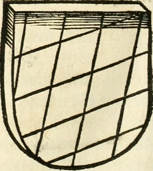 An illustration from Anfang, Vrsprug und Herkomen des Thurniers inn Teutscher Nation : wieuil Thurnier biss vff den letztenn zu Wormbs : auch wie vnnd an welchen Orten die gehalten vñ durch was Fürsten, Grauen, Herrn, Ritter vñ vom Adel, sie iederzeit besucht worden sindt .., 1532, leaf 251