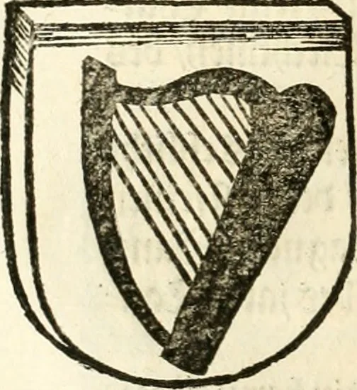 An illustration from Anfang, Vrsprug und Herkomen des Thurniers inn Teutscher Nation : wieuil Thurnier biss vff den letztenn zu Wormbs : auch wie vnnd an welchen Orten die gehalten vñ durch was Fürsten, Grauen, Herrn, Ritter vñ vom Adel, sie iederzeit besucht worden sindt .., 1532, leaf 265