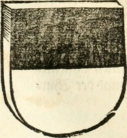 An illustration from Anfang, Vrsprug und Herkomen des Thurniers inn Teutscher Nation : wieuil Thurnier biss vff den letztenn zu Wormbs : auch wie vnnd an welchen Orten die gehalten vñ durch was Fürsten, Grauen, Herrn, Ritter vñ vom Adel, sie iederzeit besucht worden sindt .., 1532, leaf 265