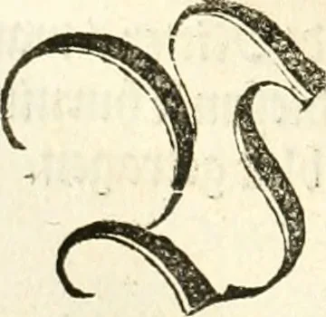 An illustration from Anfang, Vrsprug und Herkomen des Thurniers inn Teutscher Nation : wieuil Thurnier biss vff den letztenn zu Wormbs : auch wie vnnd an welchen Orten die gehalten vñ durch was Fürsten, Grauen, Herrn, Ritter vñ vom Adel, sie iederzeit besucht worden sindt .., 1532, leaf 275