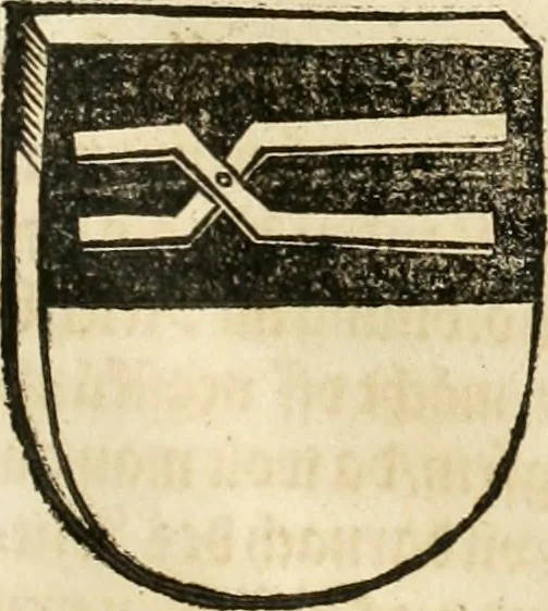 An illustration from Anfang, Vrsprug und Herkomen des Thurniers inn Teutscher Nation : wieuil Thurnier biss vff den letztenn zu Wormbs : auch wie vnnd an welchen Orten die gehalten vñ durch was Fürsten, Grauen, Herrn, Ritter vñ vom Adel, sie iederzeit besucht worden sindt .., 1532, leaf 288