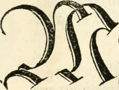 An illustration from Anfang, Vrsprug und Herkomen des Thurniers inn Teutscher Nation : wieuil Thurnier biss vff den letztenn zu Wormbs : auch wie vnnd an welchen Orten die gehalten vñ durch was Fürsten, Grauen, Herrn, Ritter vñ vom Adel, sie iederzeit besucht worden sindt .., 1532, leaf 29