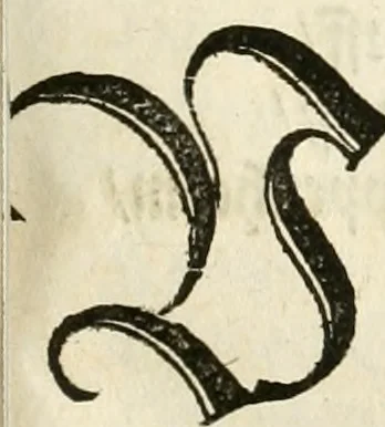 An illustration from Anfang, Vrsprug und Herkomen des Thurniers inn Teutscher Nation : wieuil Thurnier biss vff den letztenn zu Wormbs : auch wie vnnd an welchen Orten die gehalten vñ durch was Fürsten, Grauen, Herrn, Ritter vñ vom Adel, sie iederzeit besucht worden sindt .., 1532, leaf 298