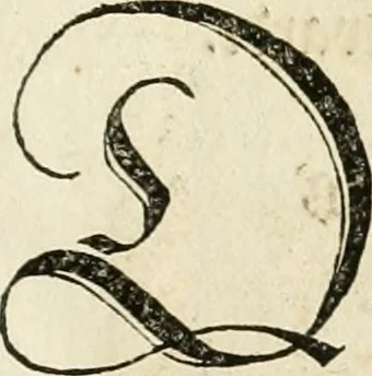 An illustration from Anfang, Vrsprug und Herkomen des Thurniers inn Teutscher Nation : wieuil Thurnier biss vff den letztenn zu Wormbs : auch wie vnnd an welchen Orten die gehalten vñ durch was Fürsten, Grauen, Herrn, Ritter vñ vom Adel, sie iederzeit besucht worden sindt .., 1532, leaf 30