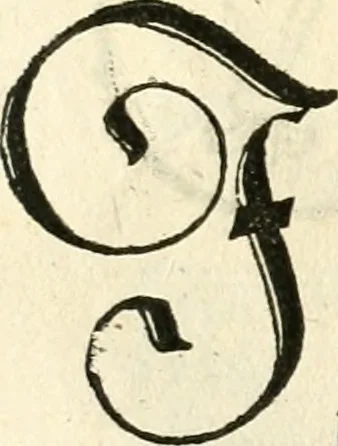 An illustration from Anfang, Vrsprug und Herkomen des Thurniers inn Teutscher Nation : wieuil Thurnier biss vff den letztenn zu Wormbs : auch wie vnnd an welchen Orten die gehalten vñ durch was Fürsten, Grauen, Herrn, Ritter vñ vom Adel, sie iederzeit besucht worden sindt .., 1532, leaf 325