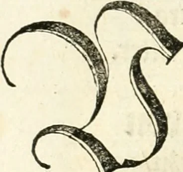An illustration from Anfang, Vrsprug und Herkomen des Thurniers inn Teutscher Nation : wieuil Thurnier biss vff den letztenn zu Wormbs : auch wie vnnd an welchen Orten die gehalten vñ durch was Fürsten, Grauen, Herrn, Ritter vñ vom Adel, sie iederzeit besucht worden sindt .., 1532, leaf 39