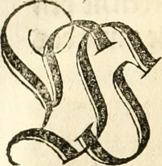 An illustration from Anfang, Vrsprug und Herkomen des Thurniers inn Teutscher Nation : wieuil Thurnier biss vff den letztenn zu Wormbs : auch wie vnnd an welchen Orten die gehalten vñ durch was Fürsten, Grauen, Herrn, Ritter vñ vom Adel, sie iederzeit besucht worden sindt .., 1532, leaf 405