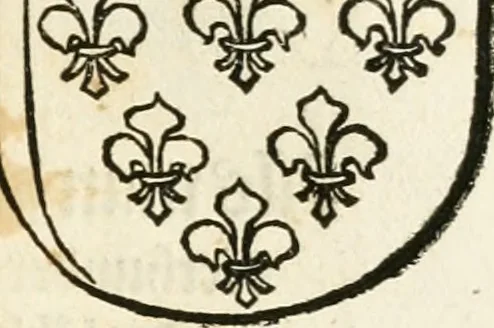 An illustration from Anfang, Vrsprug und Herkomen des Thurniers inn Teutscher Nation : wieuil Thurnier biss vff den letztenn zu Wormbs : auch wie vnnd an welchen Orten die gehalten vñ durch was Fürsten, Grauen, Herrn, Ritter vñ vom Adel, sie iederzeit besucht worden sindt .., 1532, leaf 410