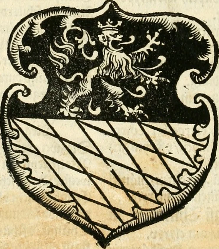 An illustration from Anfang, Vrsprug und Herkomen des Thurniers inn Teutscher Nation : wieuil Thurnier biss vff den letztenn zu Wormbs : auch wie vnnd an welchen Orten die gehalten vñ durch was Fürsten, Grauen, Herrn, Ritter vñ vom Adel, sie iederzeit besucht worden sindt .., 1532, leaf 441