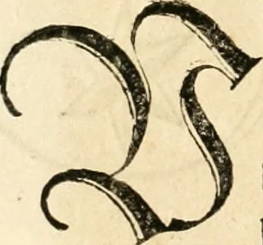 An illustration from Anfang, Vrsprug und Herkomen des Thurniers inn Teutscher Nation : wieuil Thurnier biss vff den letztenn zu Wormbs : auch wie vnnd an welchen Orten die gehalten vñ durch was Fürsten, Grauen, Herrn, Ritter vñ vom Adel, sie iederzeit besucht worden sindt .., 1532, leaf 57