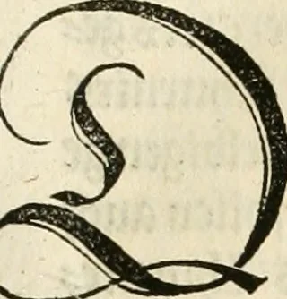 An illustration from Anfang, Vrsprug und Herkomen des Thurniers inn Teutscher Nation : wieuil Thurnier biss vff den letztenn zu Wormbs : auch wie vnnd an welchen Orten die gehalten vñ durch was Fürsten, Grauen, Herrn, Ritter vñ vom Adel, sie iederzeit besucht worden sindt .., 1532, leaf 58
