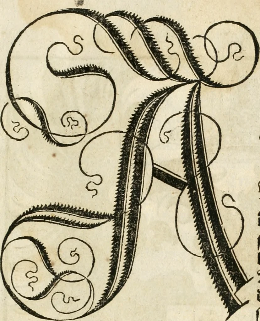 An illustration from Anfang, Vrsprug und Herkomen des Thurniers inn Teutscher Nation : wieuil Thurnier biss vff den letztenn zu Wormbs : auch wie vnnd an welchen Orten die gehalten vñ durch was Fürsten, Grauen, Herrn, Ritter vñ vom Adel, sie iederzeit besucht worden sindt .., 1532, leaf 6