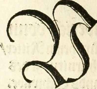 An illustration from Anfang, Vrsprug und Herkomen des Thurniers inn Teutscher Nation : wieuil Thurnier biss vff den letztenn zu Wormbs : auch wie vnnd an welchen Orten die gehalten vñ durch was Fürsten, Grauen, Herrn, Ritter vñ vom Adel, sie iederzeit besucht worden sindt .., 1532, leaf 93
